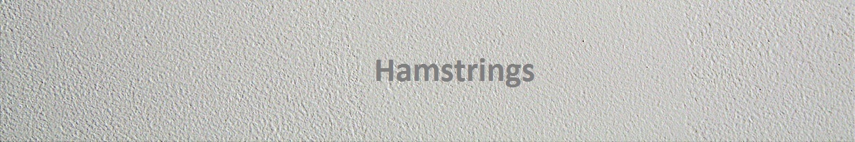 Hamstrings